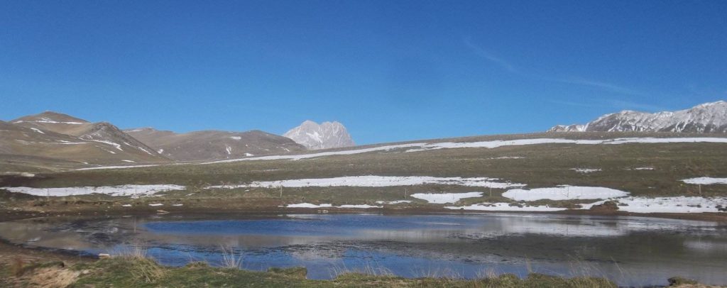 Foto @ Luciano Pellegrini