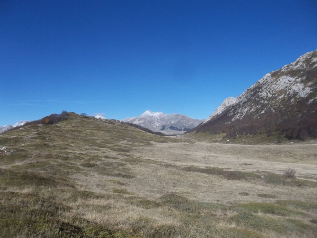 Foto @ Luciano Pellegrini