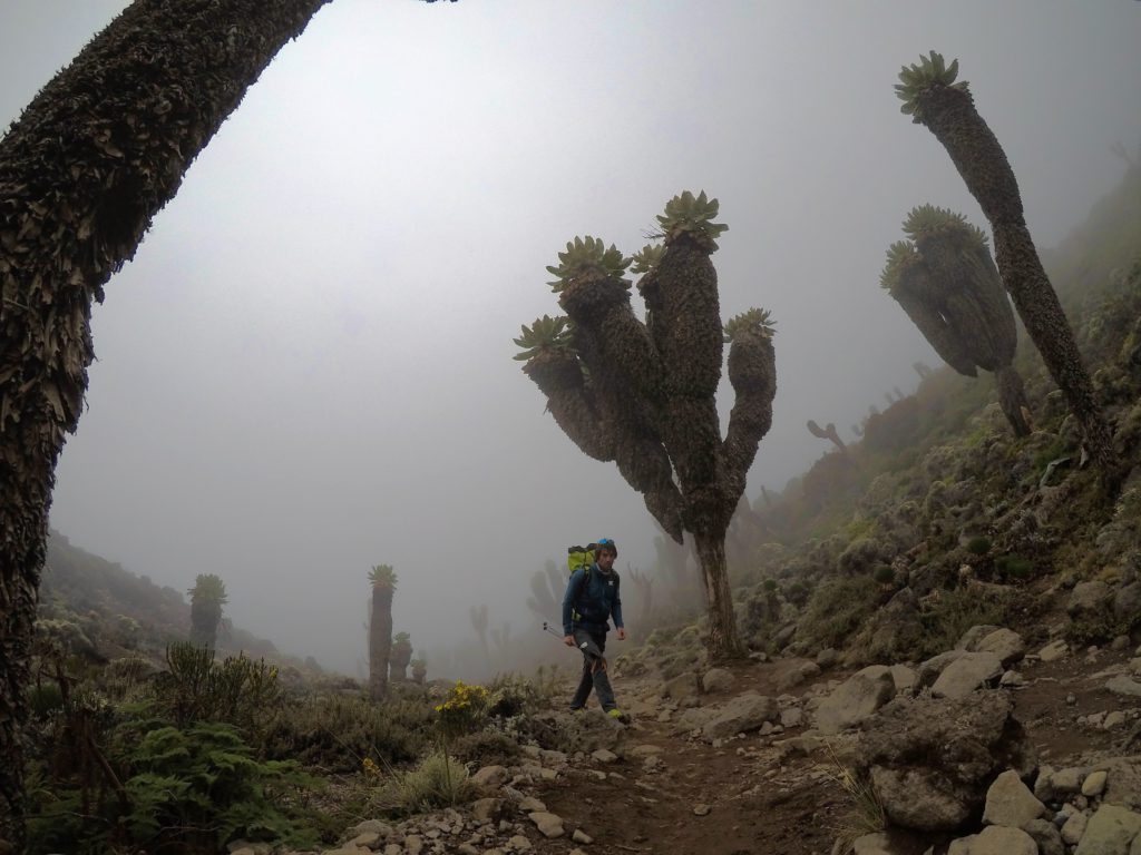 Un momento della salita al Kilimangiaro
