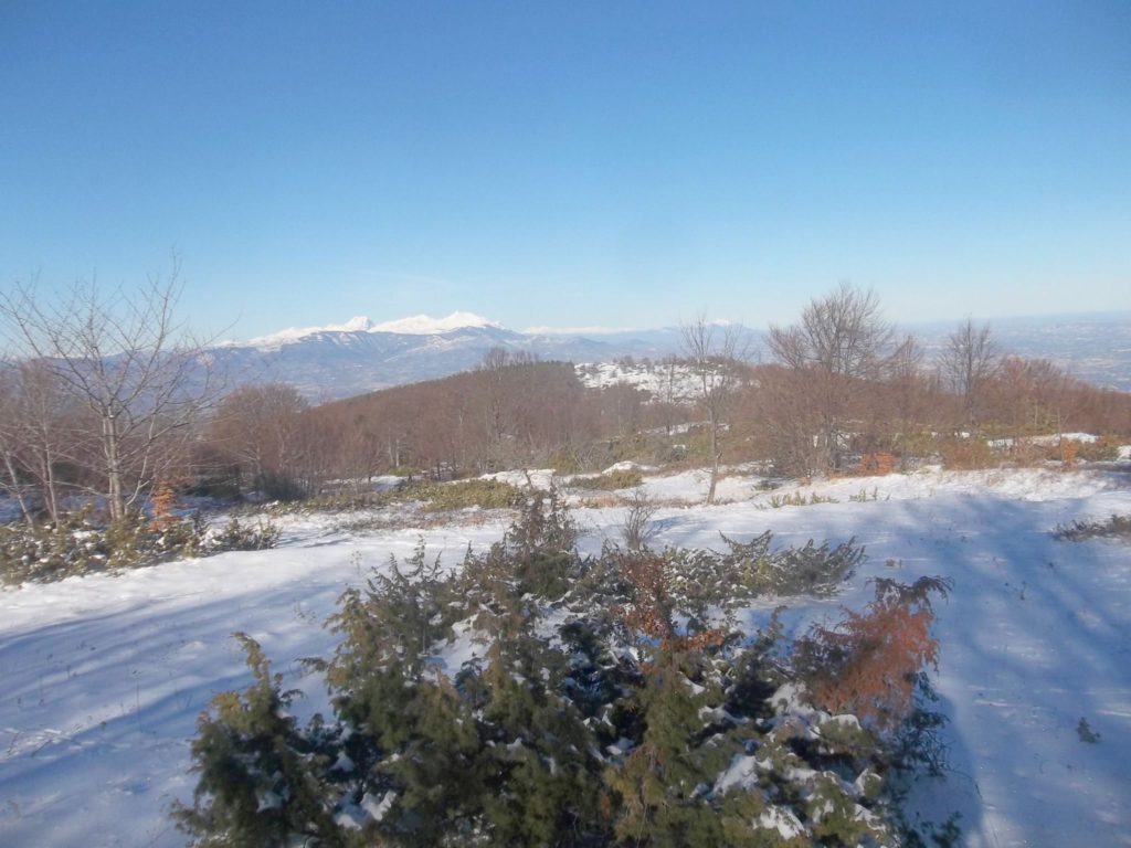 Foto Luciano Pellegrini