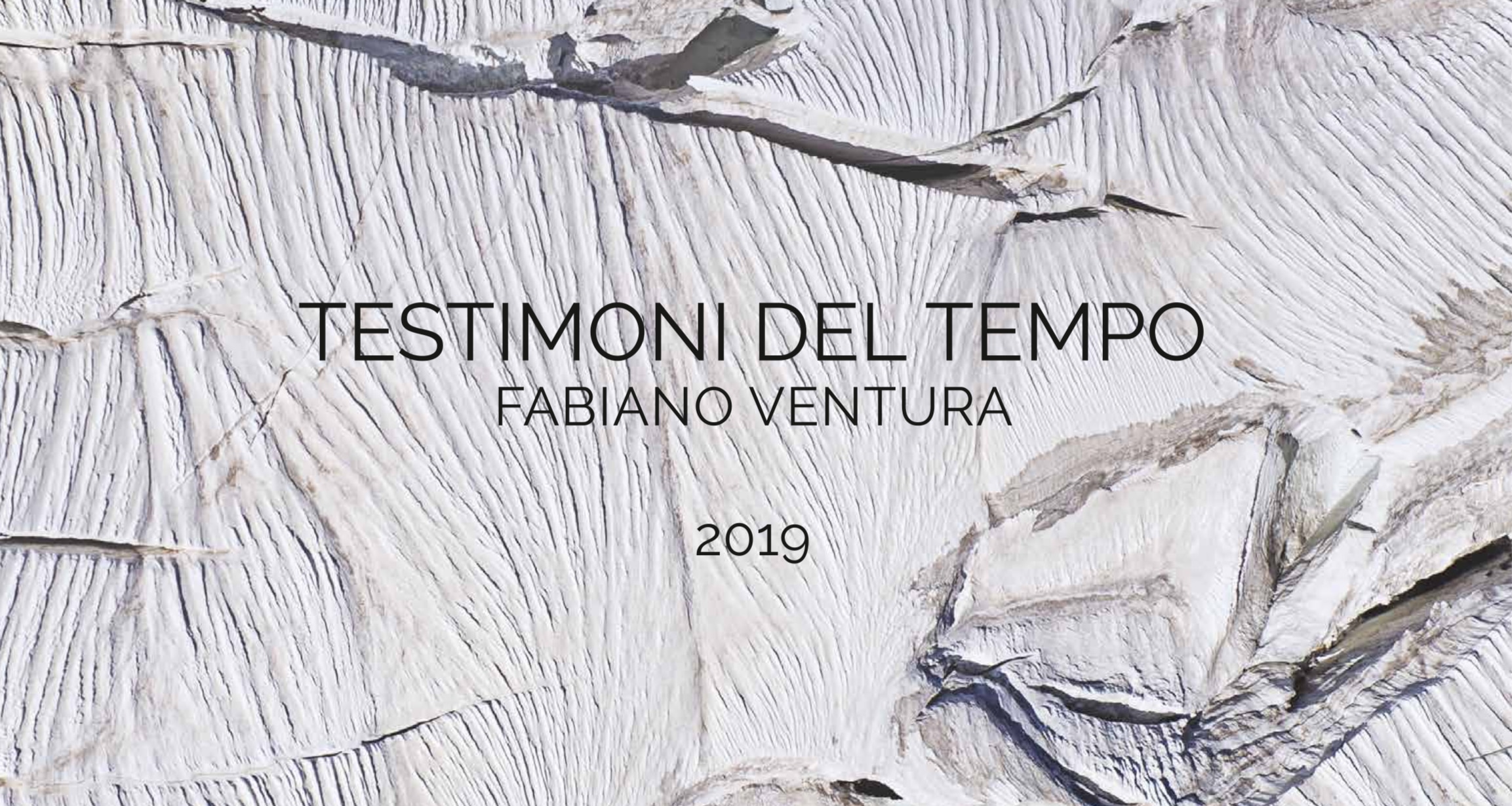 Fabiano Ventura, Epson, calendario 2019, fotografia, ghiacciai, cambiamento climatico