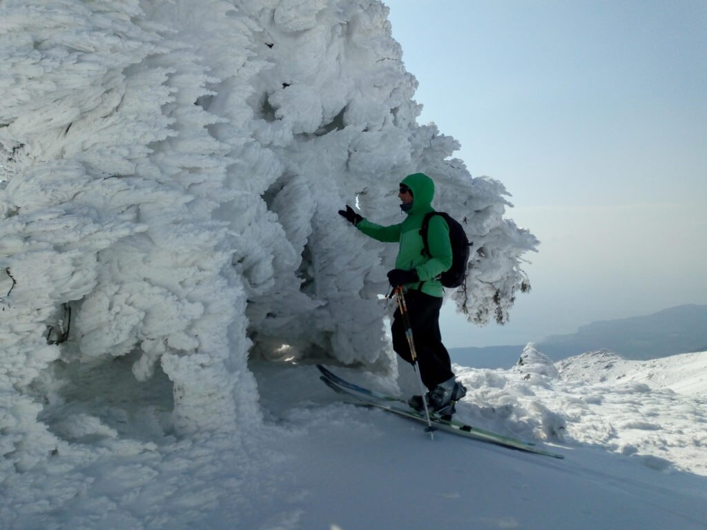 Foto di Marco Berta e Grazia Franzoni