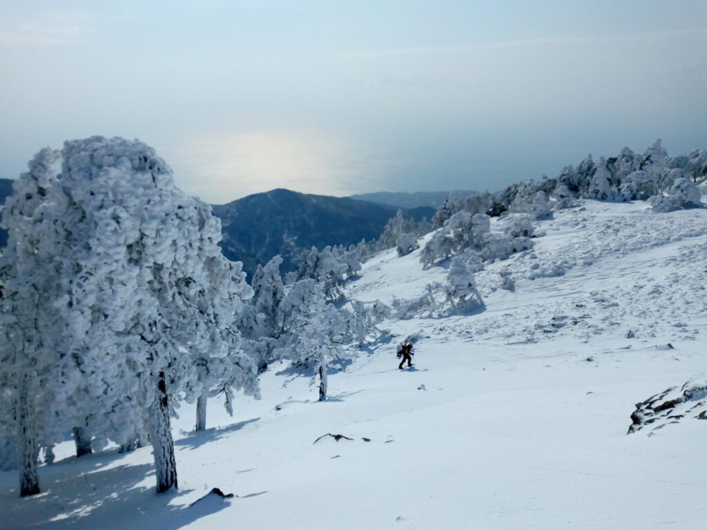 Foto di Marco Berta e Grazia Franzoni