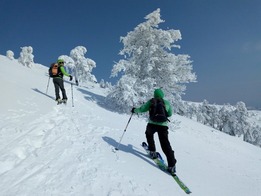 Foto di Marco Berta e Grazia Franzoni