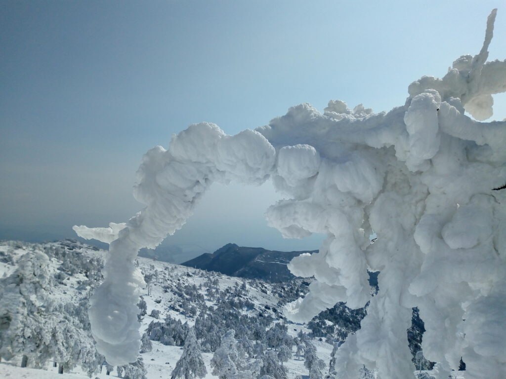 Foto di Marco Berta e Grazia Franzoni