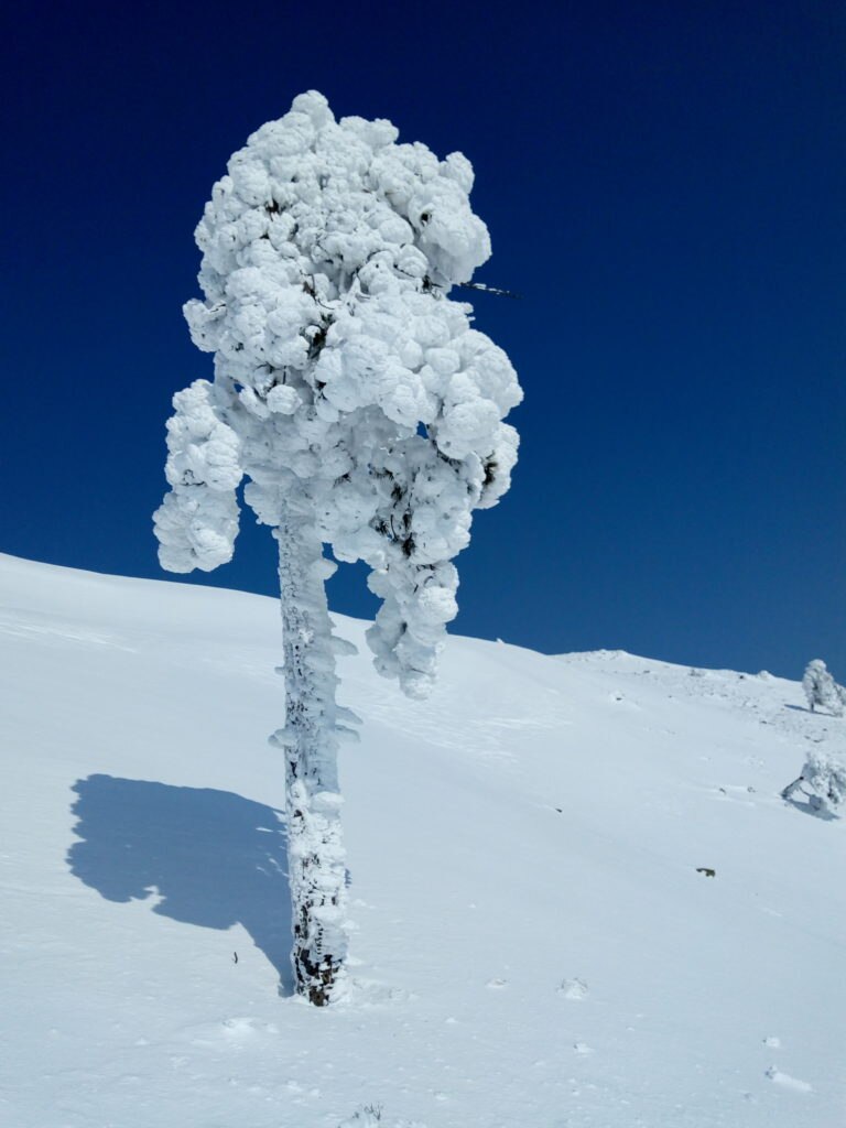 Foto di Marco Berta e Grazia Franzoni