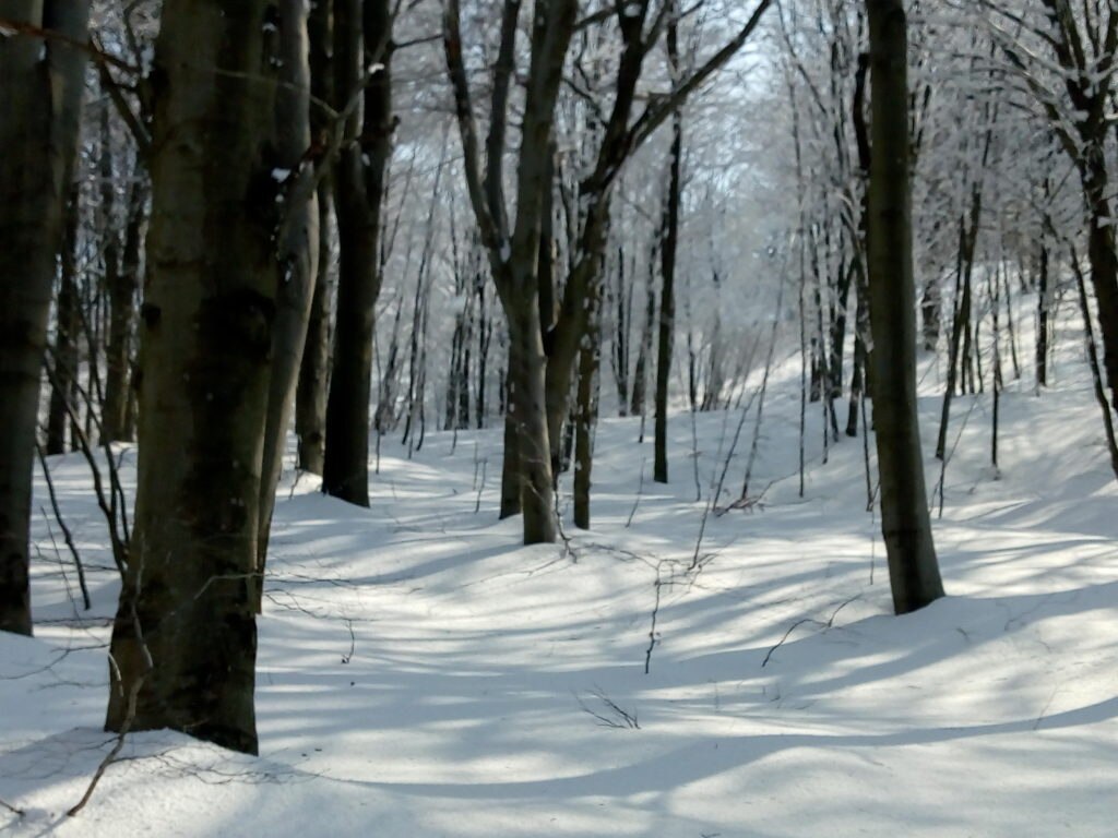 Foto di Marco Berta e Grazia Franzoni
