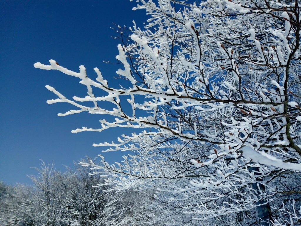 Foto di Marco Berta e Grazia Franzoni