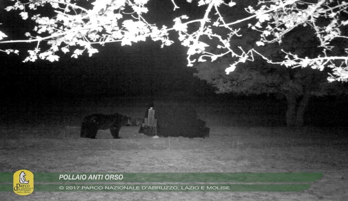 Pollaio Anti-Orso. Foto @ Parco Nazionale Lazio Abruzzo Molise