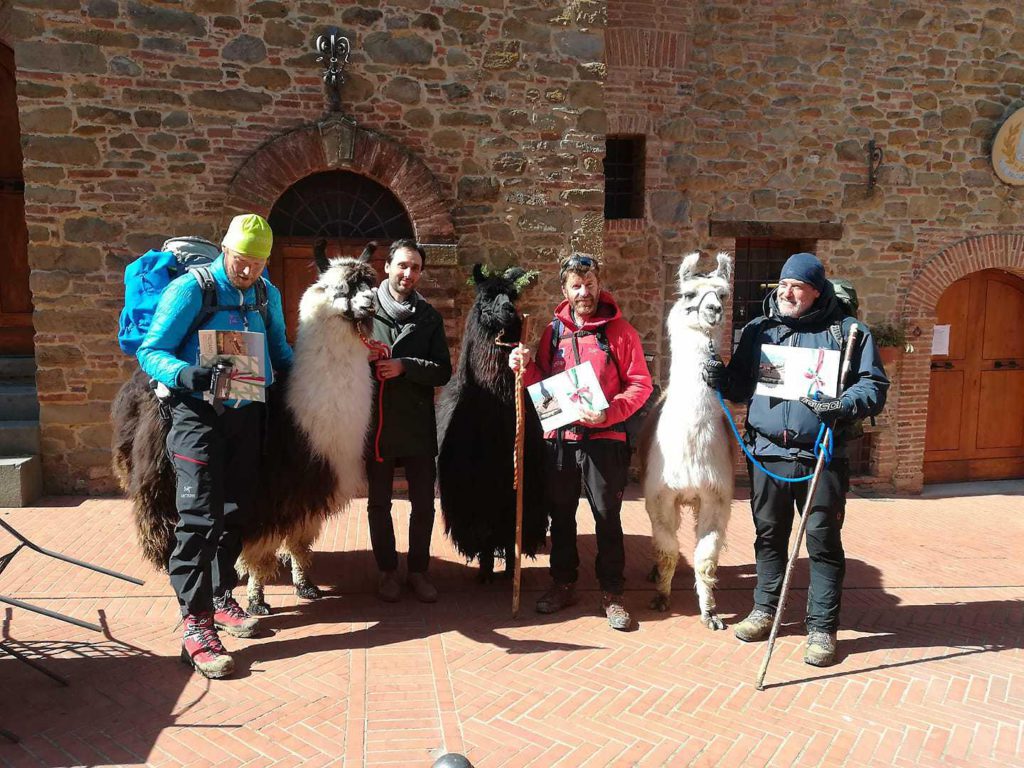 I tre amici con i lama. Foto @ Il Mattino di Padova
