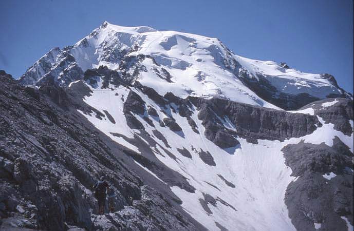 cronaca nera, ortles