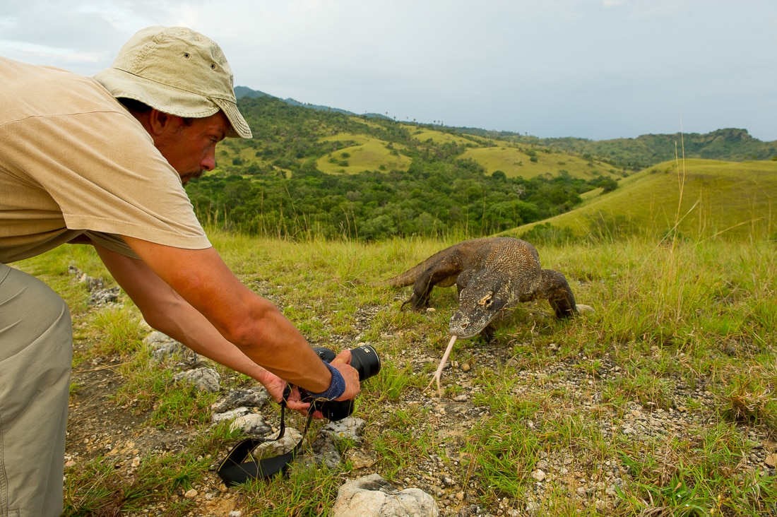 Stefano Unterthiner photographing a komodo dragon with a ranger to protect him. Loh Buaya, Rinca island, Komodo National Park, Indonesia