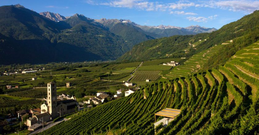 vinitaly, vini eroici, prodotti locali, vino,