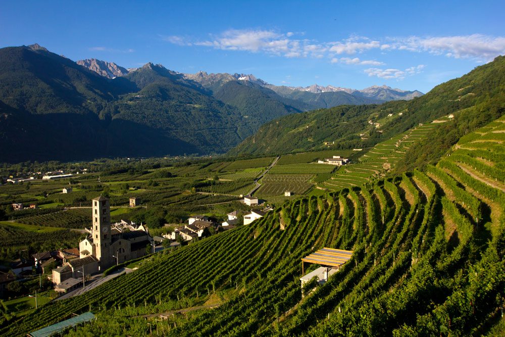 vinitaly, vini eroici, prodotti locali, vino,
