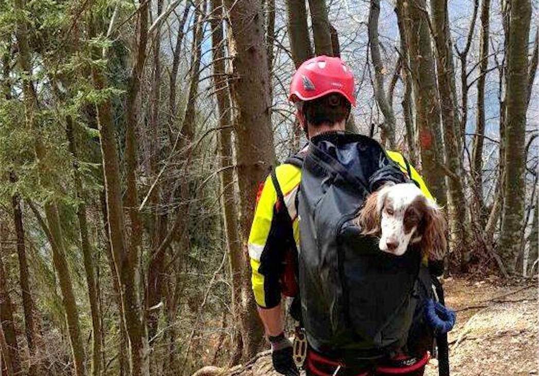 soccorso alpino, cani, cnsas, sicurezza in montagna