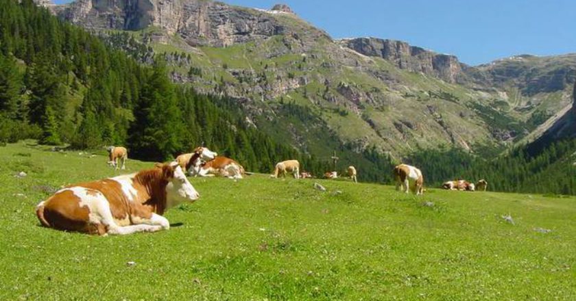 Val Trompia, Truffa, alpeggi