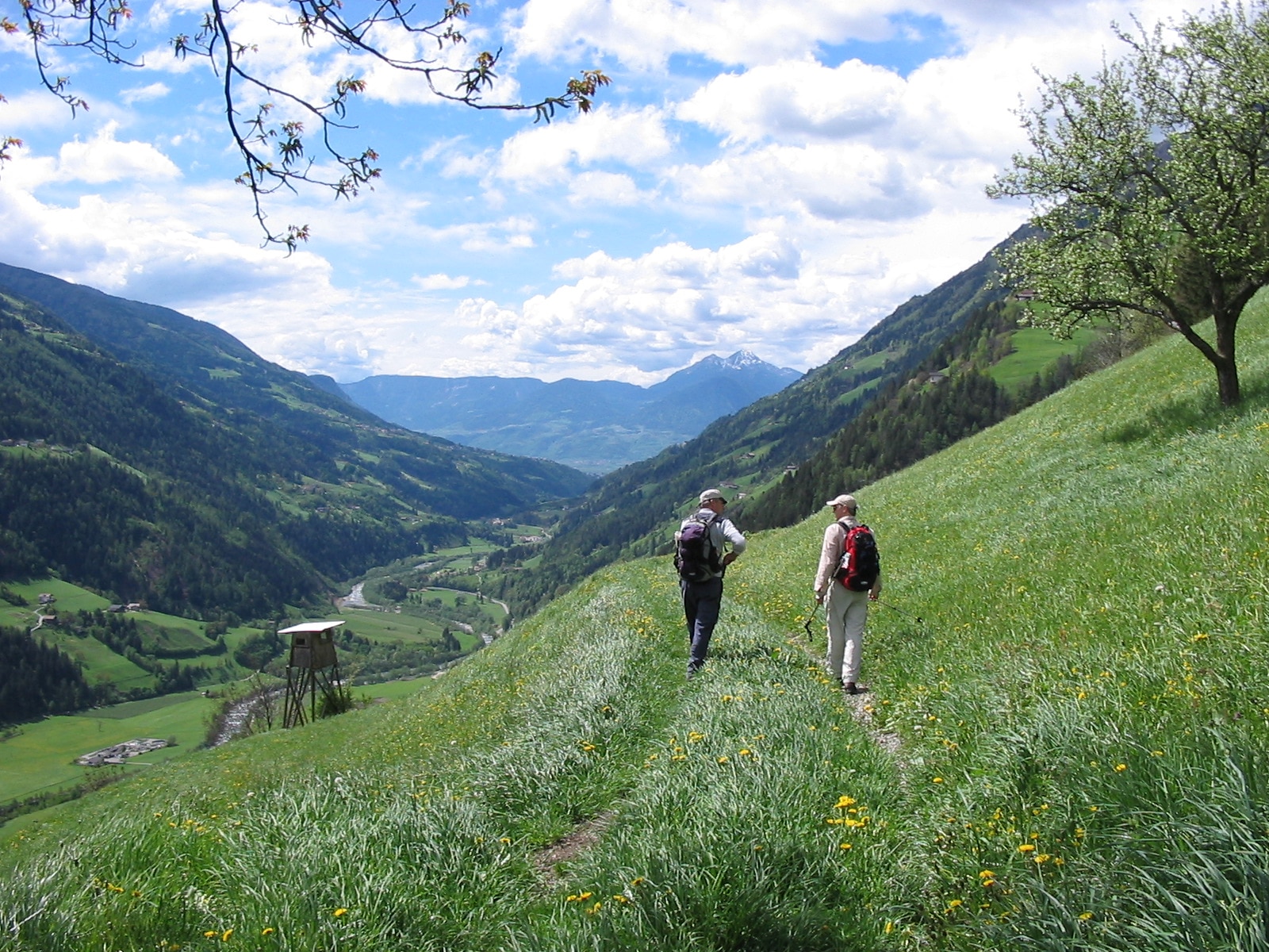 salute in montagna, cuore,