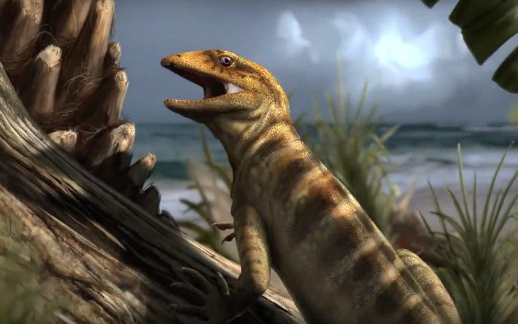 Fauna, ricerca scientifica, Megachirella wachtleri