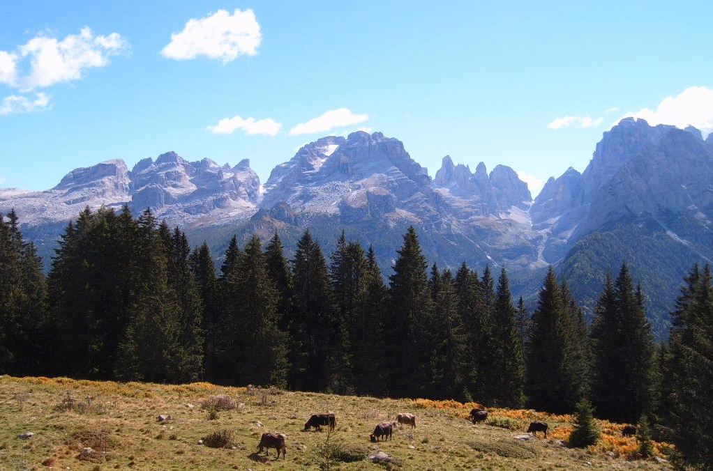 trentino, turismo, assicurazione, sole garantito