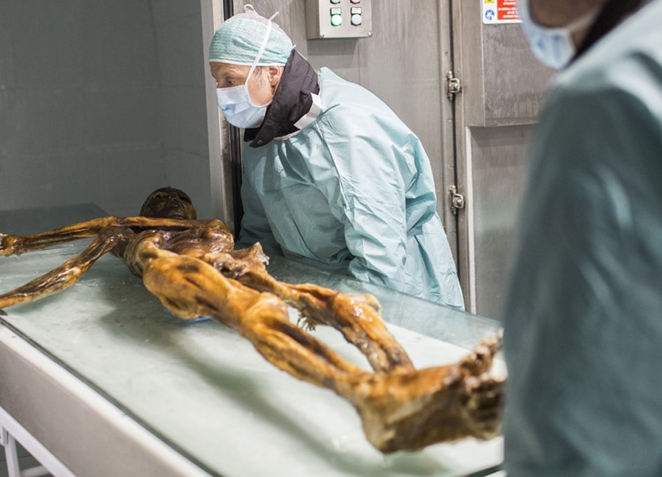 Ötzi, mummia di Similaun, Iceman, ricerca