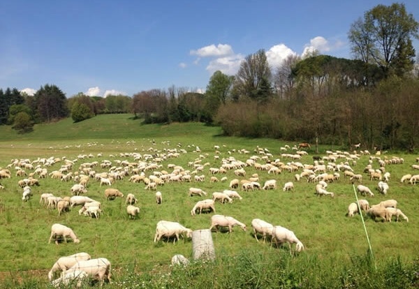 Valtiberina