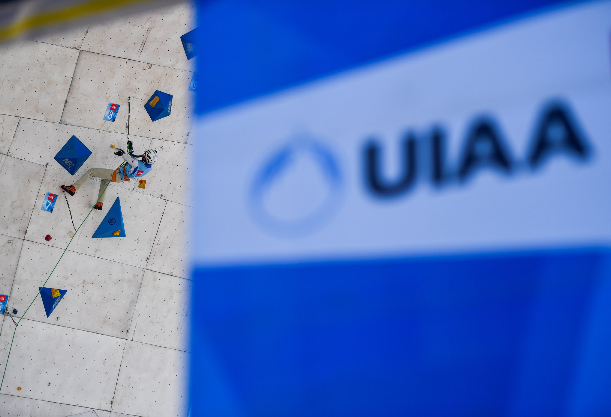 uria, cai, torti, alpinismo, ice climbing