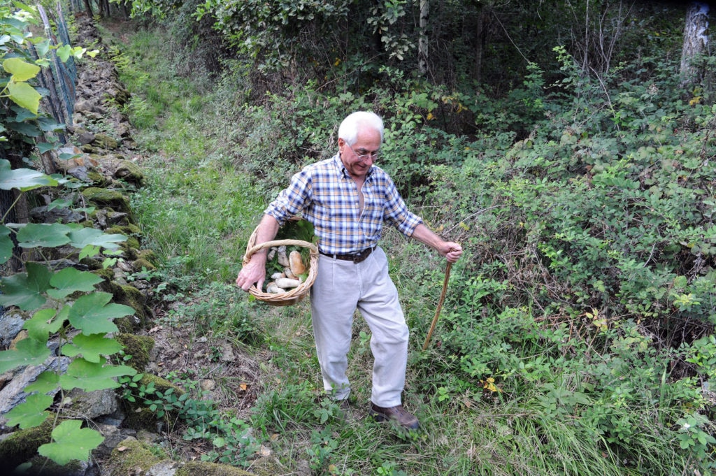 Un cercatore di funghi nei boschi