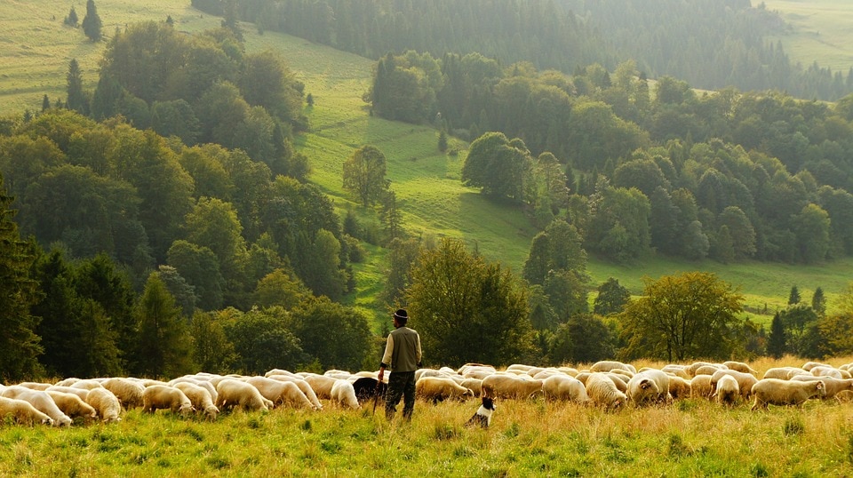 Progetto Pasturs, alpeggi, Alpi orobiche bergamasche, montagna