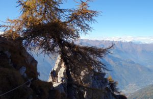 Outdoor, sicurezza, montagna, Guide alpine