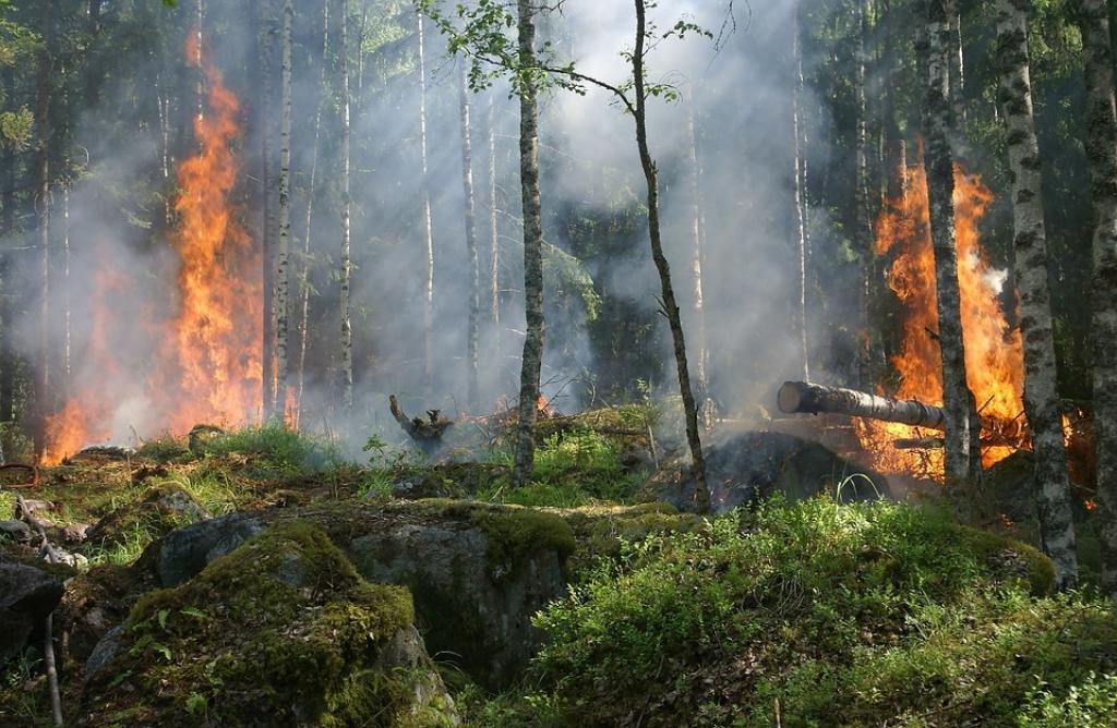 incendi, boschi, valle d'aosta