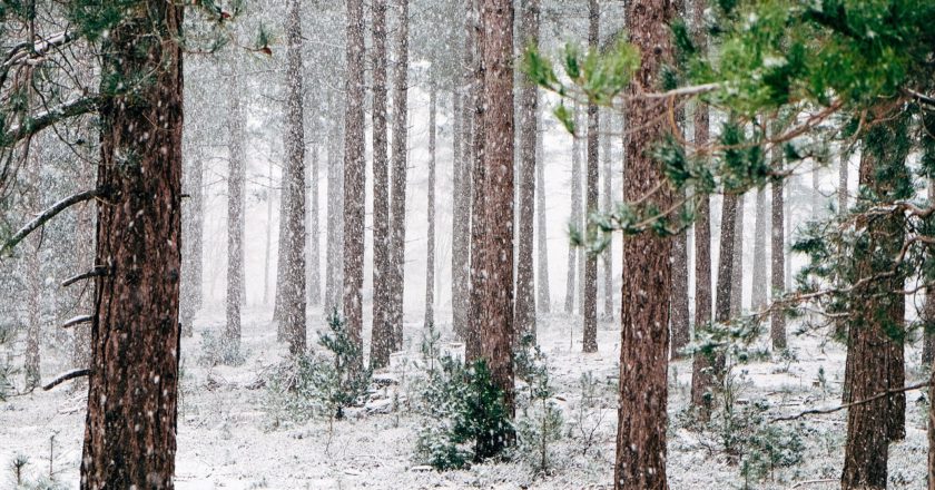 neve, clima, Alto Adige