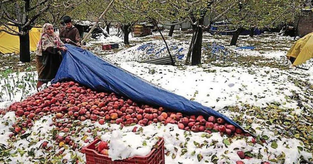 Kashmir, India, neve, crisi, cambiamento climatico, eventi estremi