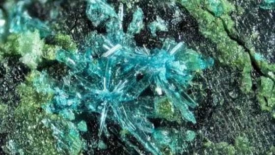 Photo of Fiemmeite. I ricercatori del Muse scoprono un nuovo minerale sulle Dolomiti trentine