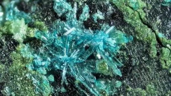 fiemmeite, dolomiti, trentino, minerali, MUSE, IMA