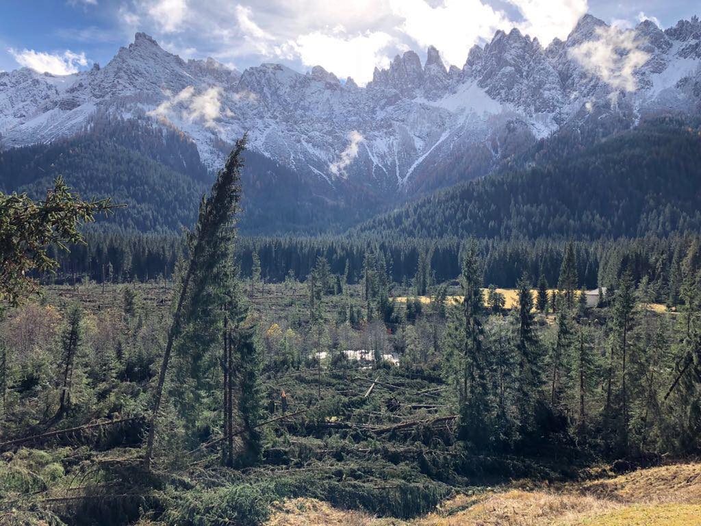 maltempo, aiuti, bellunese, dolomiti