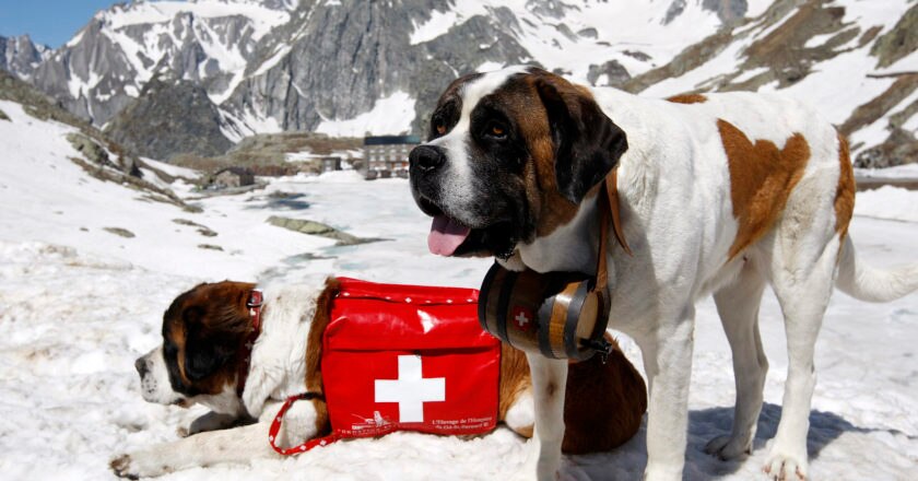 Unesco, Svizzera, Austria, San Bernardo, rischio valanghe. soccorso