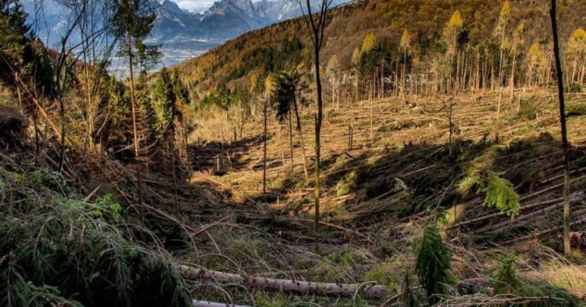 cai, sentieri, itinerari, maltempo, dolomiti