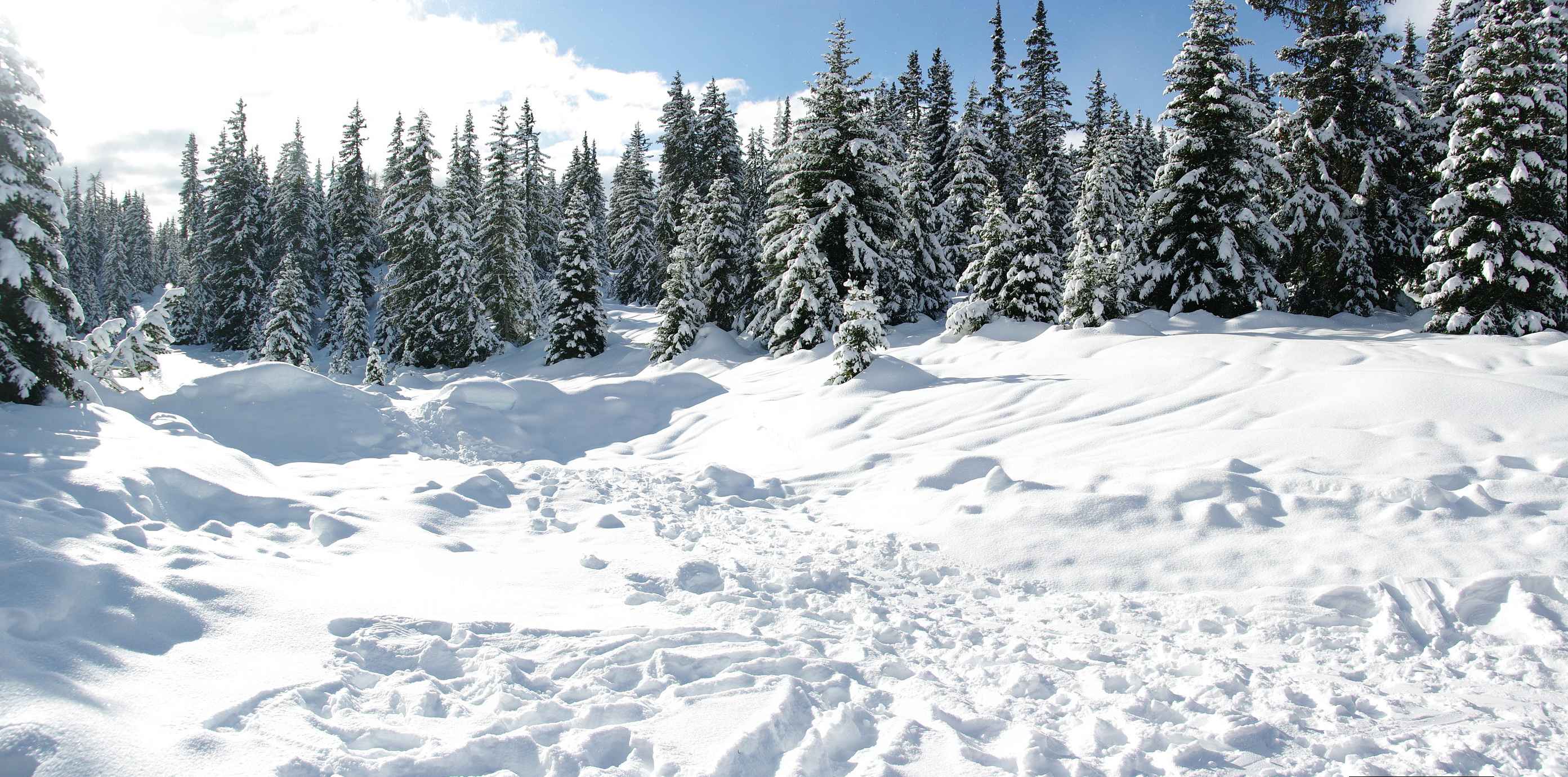 mete, neve, alpi