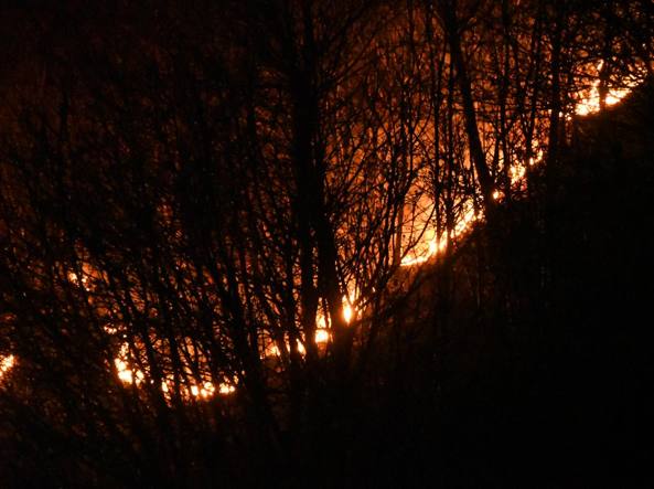incendi, cronaca, meteo