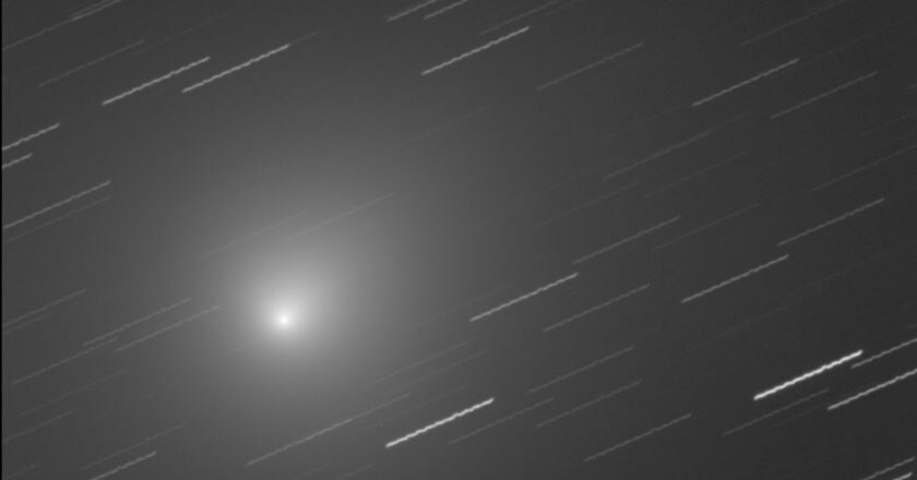 cometa, 46P/Wirtaten, perielio, perigeo, astronomia, Natale, INAF