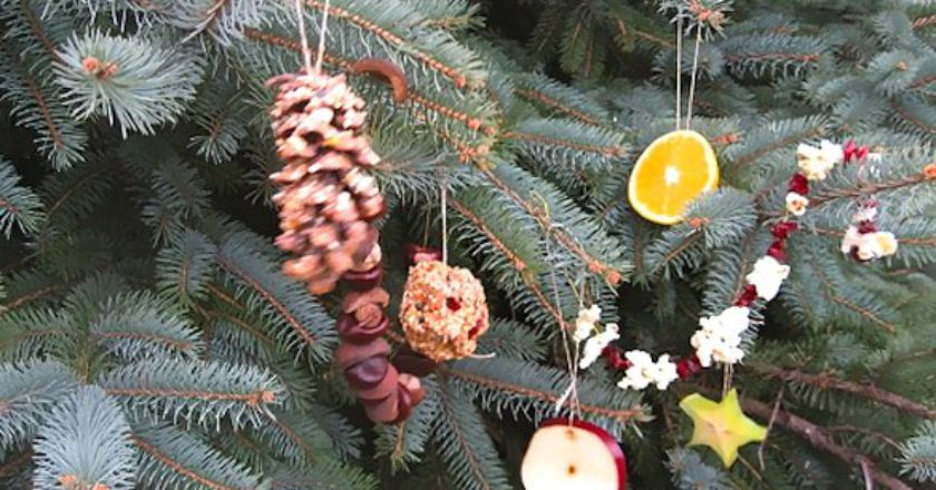 mercato, Milano, alberi di natale, maltempo, solidarietà, coldiretti