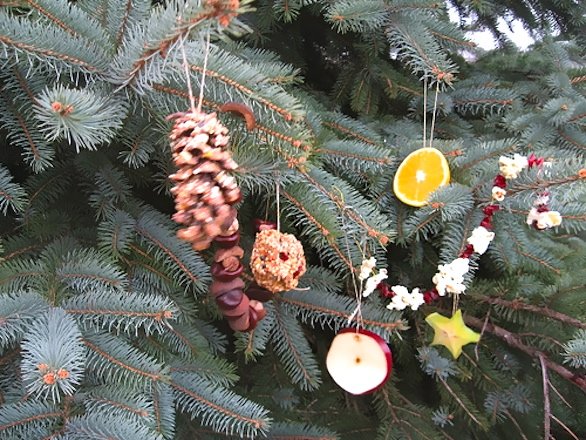 mercato, Milano, alberi di natale, maltempo, solidarietà, coldiretti