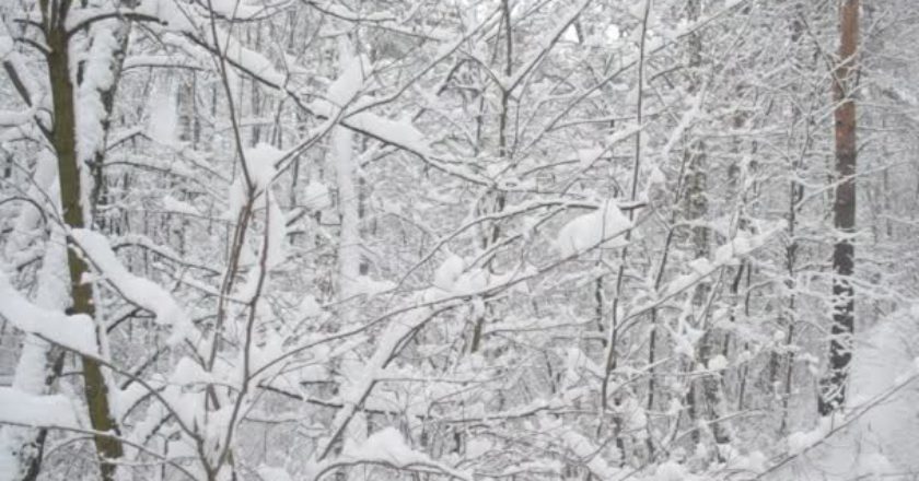 meteo, neve, immacolata, alpi