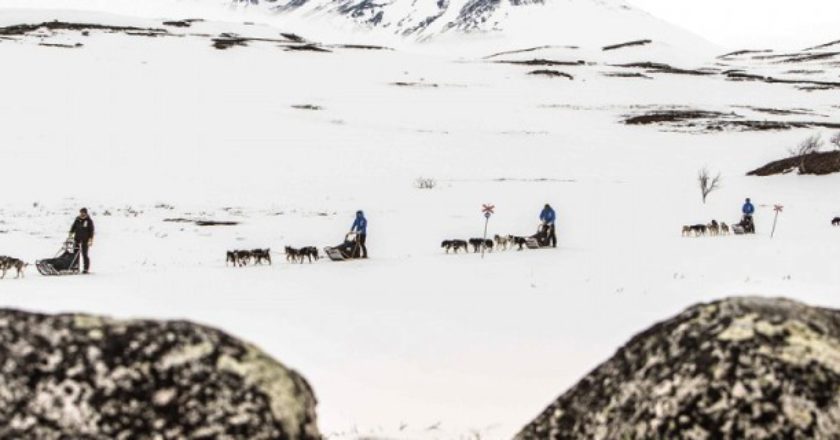Fjallraven Polar, Lorenzo Bertolotto, musher