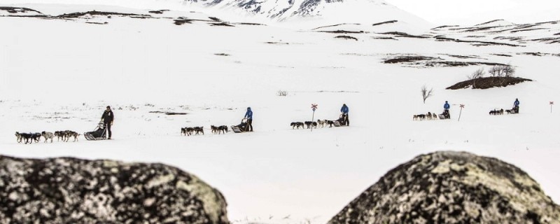 Fjallraven Polar, Lorenzo Bertolotto, musher