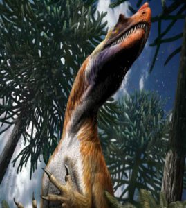 ceratosauro, giurassico, dinosauri, Saltriovenator zanellai, predatore, fossili, paleontologia