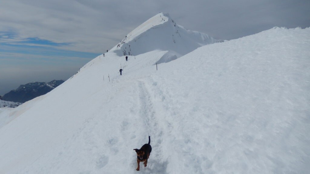 Foto @ Michele Cosentino 