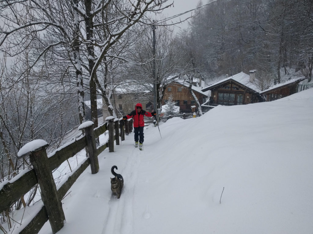 Foto Archivio Daidola