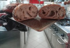 food, cibo, cucchiaio d'argento, corteccia, boschi