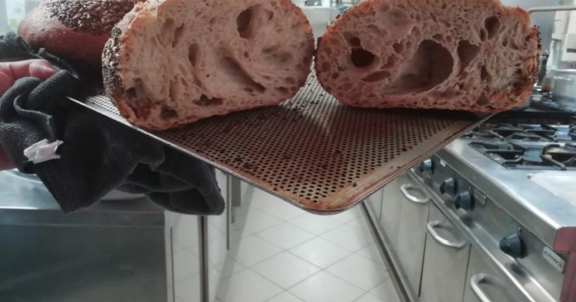 food, cibo, cucchiaio d'argento, corteccia, boschi